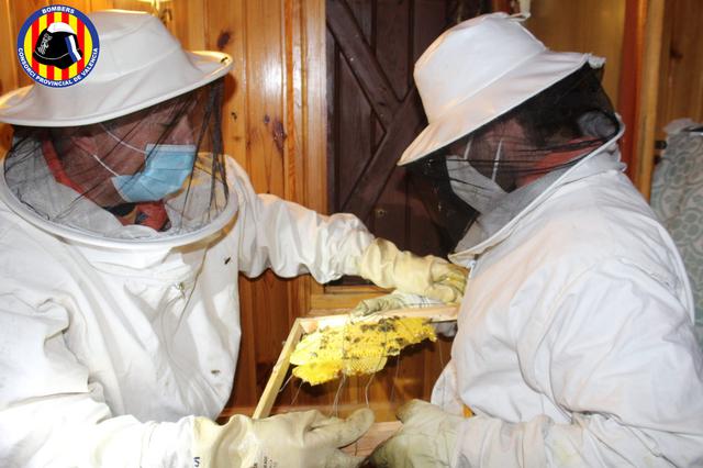Es multipliquen els serveis per retirada d’eixams d’abelles durant la pandèmia