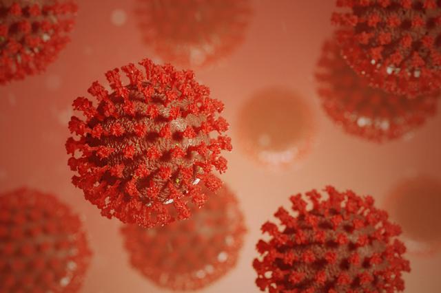 Sanitat registra 1.553 casos nous de coronavirus en la Comunitat Valenciana