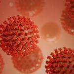 Sanidad registra 1.553 casos nuevos de coronavirus en la Comunitat Valenciana