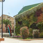 Ontinyent celebra l'‘Homenatge al Fester Absent’