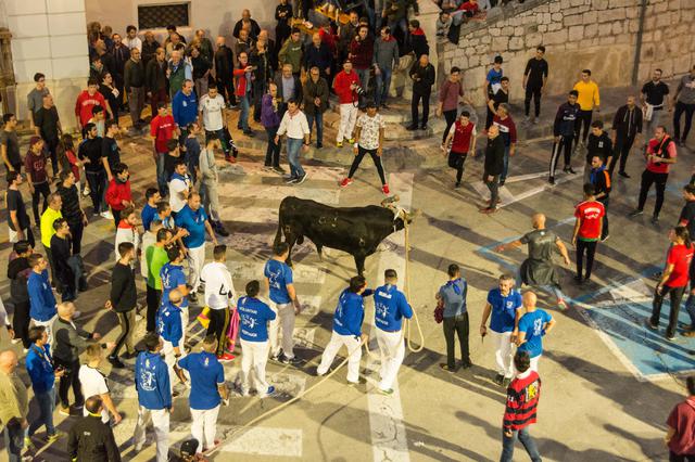 El Bou en corda d'Ontinyent, més prop de poder tornar a celebrar-se