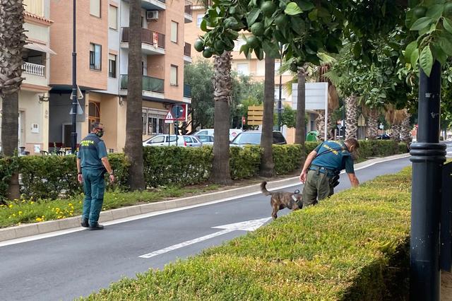 La Guàrdia Civil investiga amb un gos especialitzat l'enverinament de gossos a Ontinyent