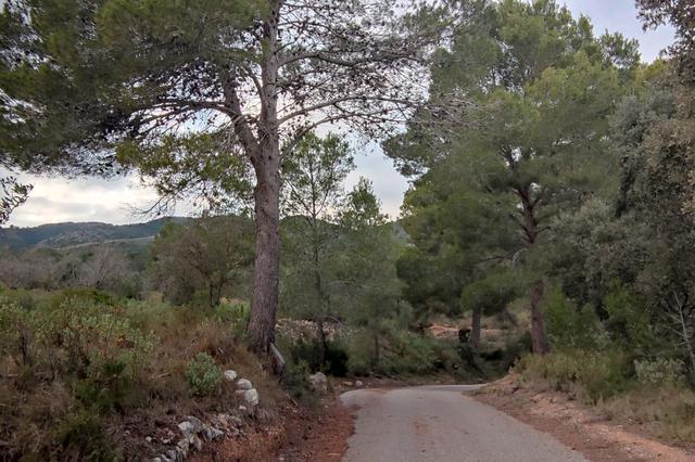 Aielo de Malferit presenta més de 500 al·legacions contra la macrocentral de Cairent