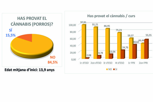 L'edat mitjana del consum de cànnabis se situa en 13,9 anys a la Vall d'Albaida 