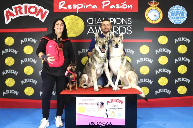 Alfa y Bianca, campeones en la Exposición Nacional e Internacional Canina de Murcia