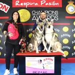 Alfa y Bianca, campeones en la Exposición Nacional e Internacional Canina de Murcia