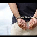Detenido en L'Olleria el presunto autor de los robos del diseminado