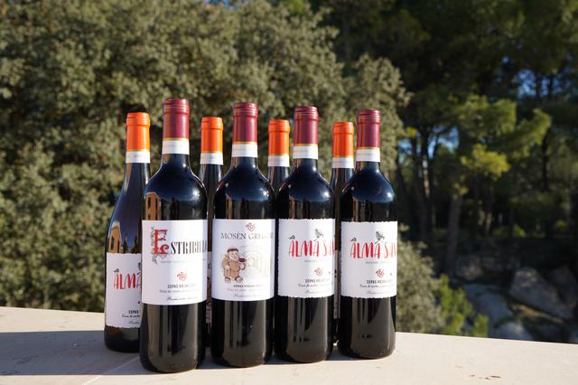 Bodega Toni Beneito, vins d'autor de varietats ancestrals