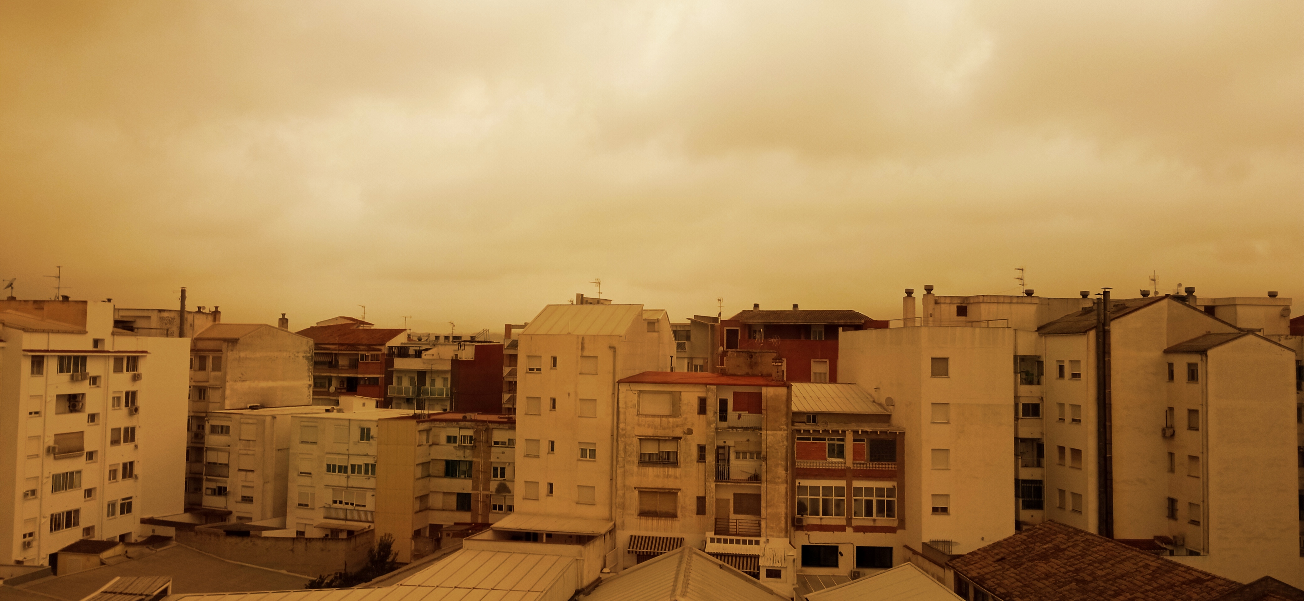 Foto: Paula Doria
