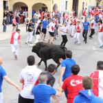 Ontinyent viurà el bou de les Penyes el 7 de maig  