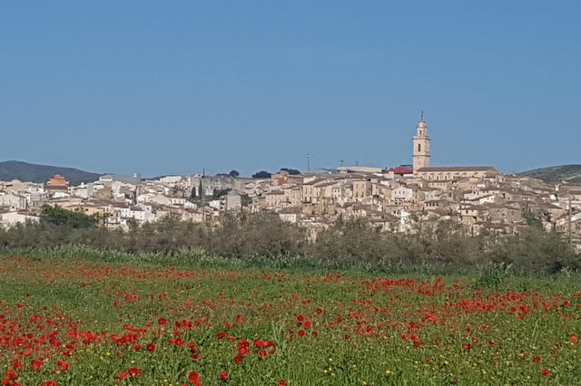 Obert el termini de participació en el concurs fotogràfic de Bocairent
