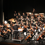 L’Orquestra Caixa Ontinyent reprén la programació amb un concert d’arpa 