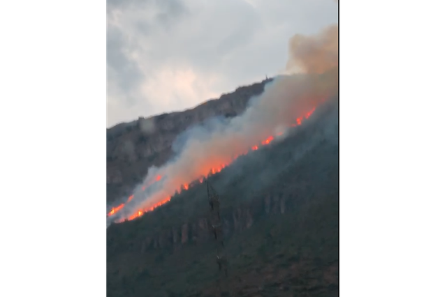Incendio en la Covalta, Albaida
