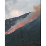 Incendi en la Covalta, Albaida