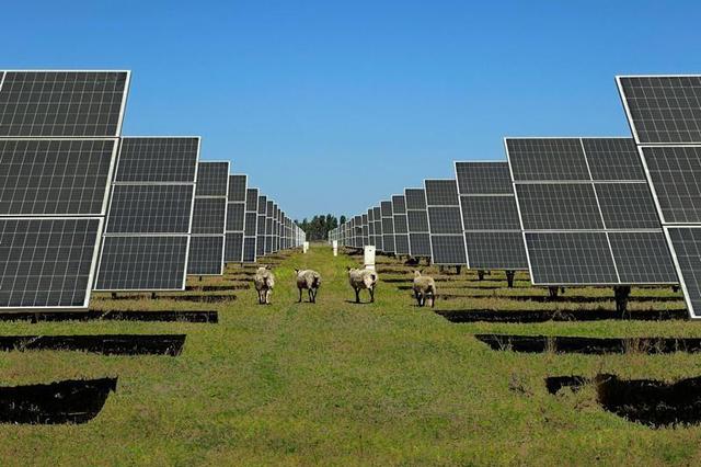 Las plantas fotovoltaicas de Albaida aportarán más de 23 millones de euros a la comarca