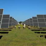 Les plantes fotovoltaiques d'Albaida aportaran més de 23 milions d'euros a la comarca