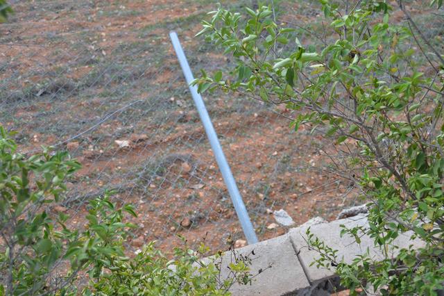 Sorprén als lladres "in fraganti" en la seua parcel·la a Ontinyent