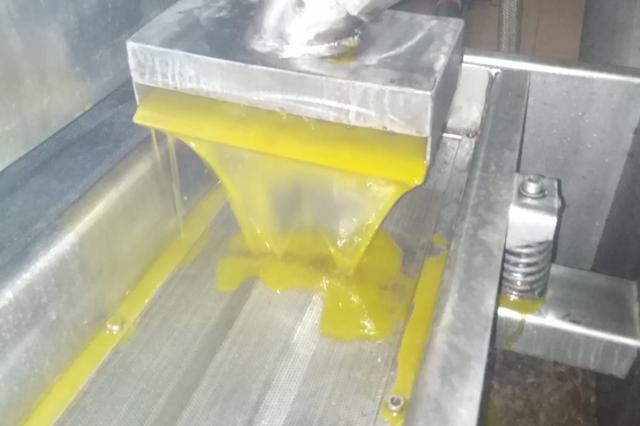 La campanya de l'oli comença amb millors expectatives que en la campanya anterior