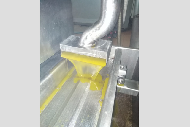 Largas colas para llevar las aceitunas a la Cooperativa de Ontinyent