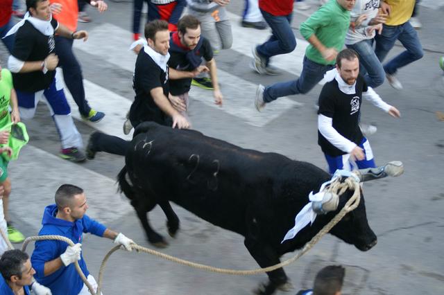 VOX demana la declaració d'interés turístic per al bou embolat d'Ontinyent