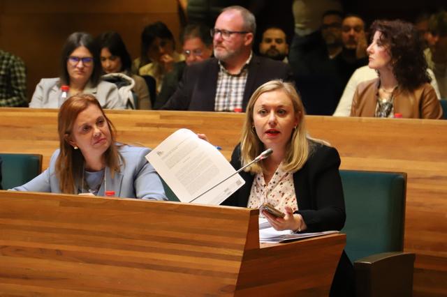 La Diputación aprueba la moción defendida por Natalia Enguix 