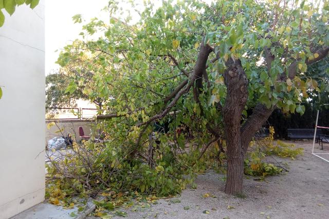 El vent deixa més de 20 incidències a Ontinyent 