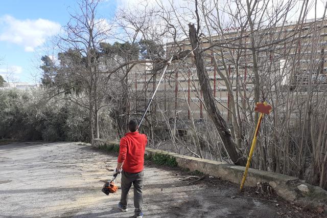 Ontinyent realiza tareas de prevención de incendios forestales