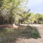 Ontinyent logra una nueva subvención para prevenir incendios forestales