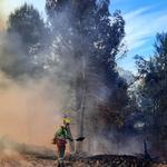 Controlado el incendio del Portitxol de Ontinyent 
