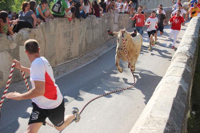El 'Bou de les Penyes' de Ontinyent no tendrá barreras en el MAOVA