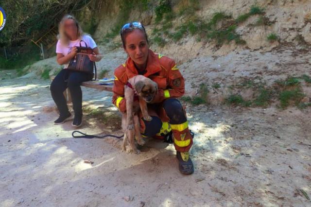 Rescaten un gosset a Ontinyent