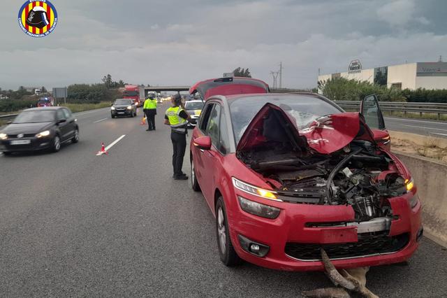 Heridos al chocar contra una cabra 