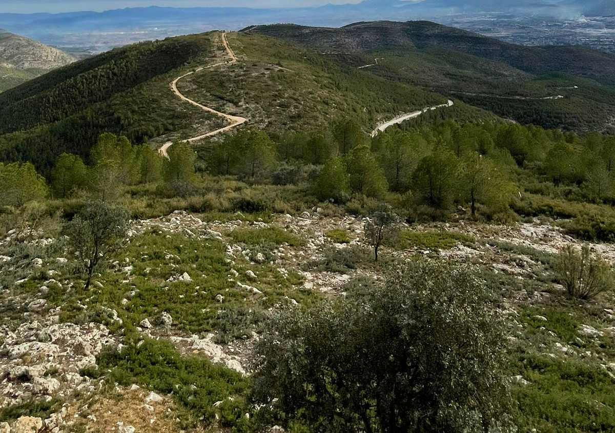 Tallafocs entre la Vall d'Albaida i la Costera