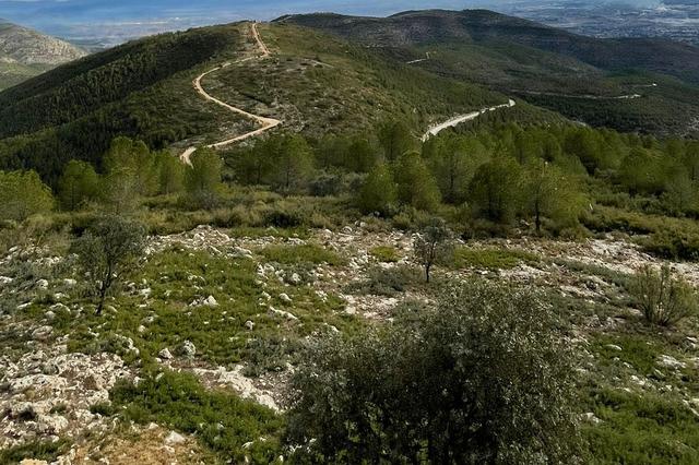 Creen un tallafocs de 188 hectàrees entre la Costera i la Vall d'Albaida 