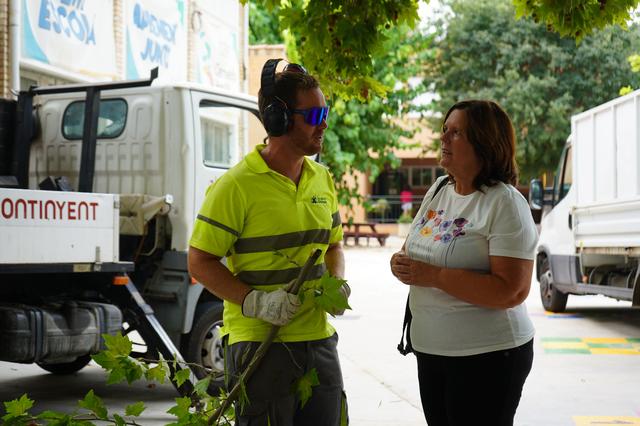 Ontinyent reposa 70 arbres de 20 espècies als diferents barris