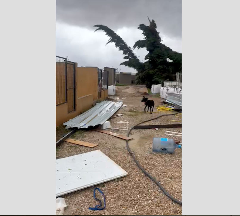 El refugio ha quedado devastado por la DANA
