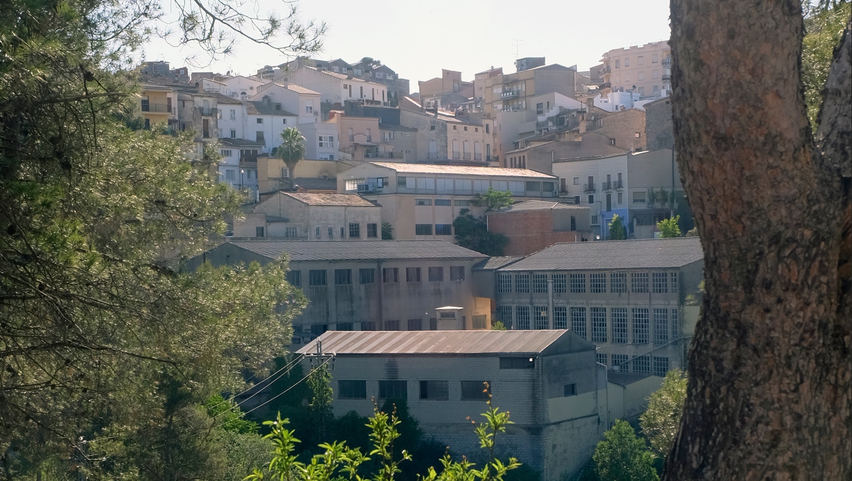 Parcela adquirida por el Ayuntamiento de Bocairent