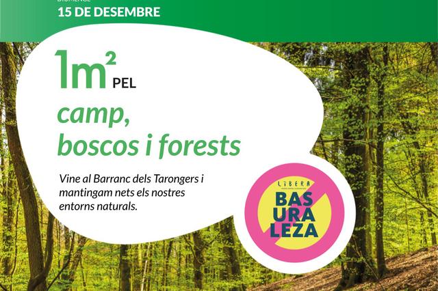 Organizan una recogida de "basuraleza" en el barranco dels Tarongers