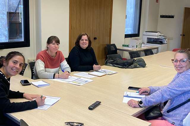 Ontinyent acumula 551 gatos esterilizados 