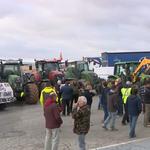 Agricultors de la Vall d'Albaida protesten en defensa del sector agrari