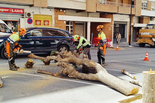 Les moreres de l'Avinguda Almaig d'Ontinyent ja són història