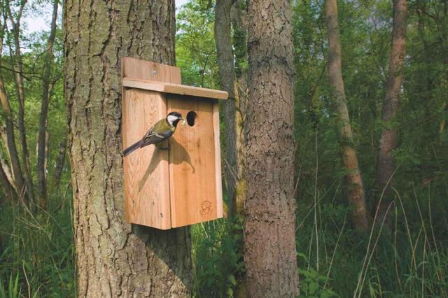 Instalan nuevas cajas-nido en Zonas de Especial Protección 