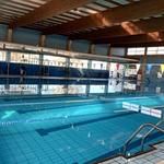 Ontinyent rep 4 propostes per al projecte de remodelació de la piscina