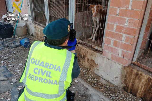 Investiguen a un home en Aielo per maltracte animal 