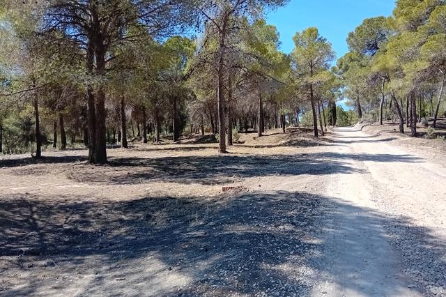 Finalizan los trabajos en Fuset para prevenir incendios forestales