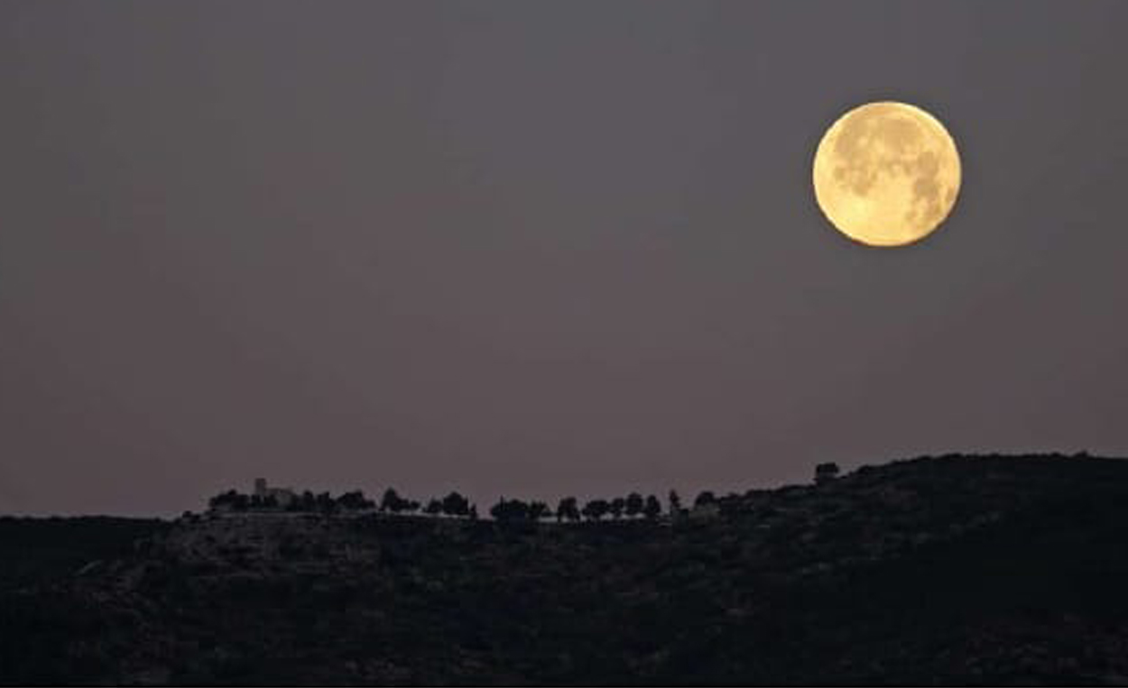 Sant Esteve. Ontinyent