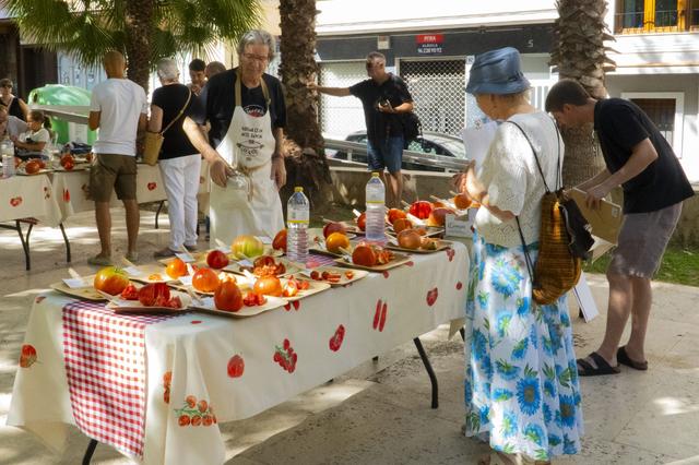 El "I Concurs de Tomata d'Ontinyent" reune a 62 participantes