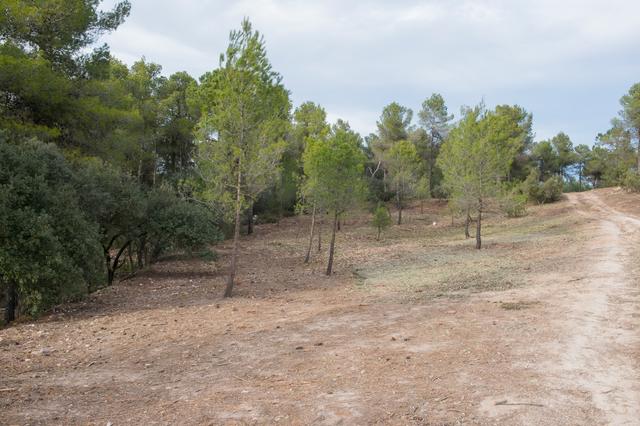 Bocairent habilitará una franja de seguridad en el camino del Santo Cristo