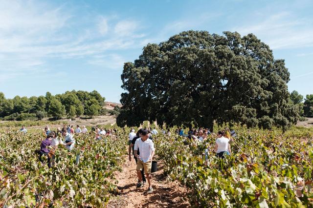 La Diputació de València celebra el Dia Mundial del Turisme 