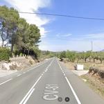 Choque entre un coche y una manada de jabalís